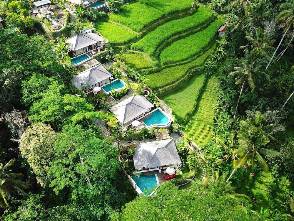 Nau Villa Ubud Tegallalang  Luaran gambar